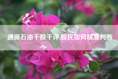 通源石油千股千评,股民如何精准判断