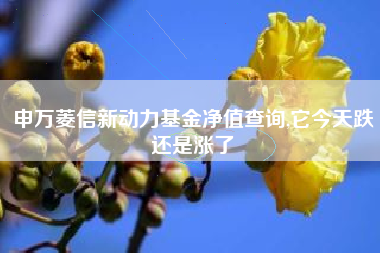 申万菱信新动力基金净值查询,它今天跌还是涨了