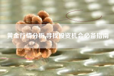 黄金行情分析,寻找投资机会必备指南