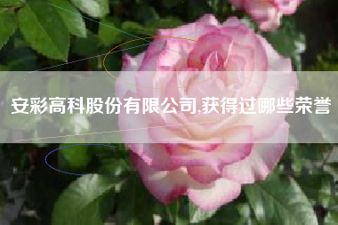 安彩高科股份有限公司,获得过哪些荣誉