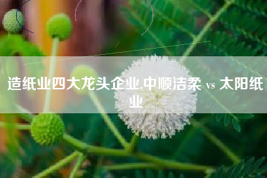 造纸业四大龙头企业,中顺洁柔 vs 太阳纸业