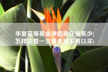 华夏蓝筹基金净值现在是多少(
怎样去看一支基金可不可以买)