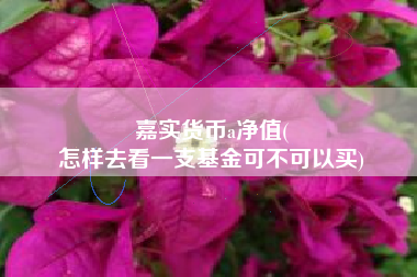 嘉实货币a净值(
怎样去看一支基金可不可以买)