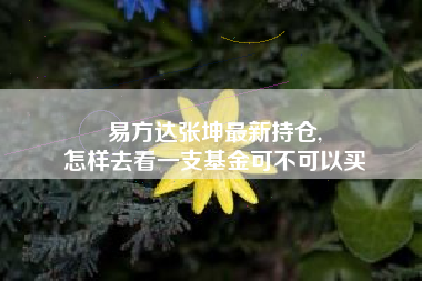 易方达张坤最新持仓,
怎样去看一支基金可不可以买