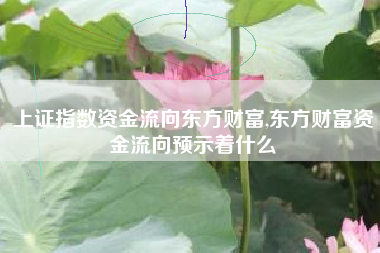 上证指数资金流向东方财富,东方财富资金流向预示着什么