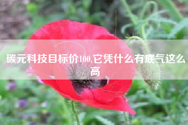 碳元科技目标价100,它凭什么有底气这么高