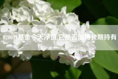 020011基金今天净值,它是否值得长期持有