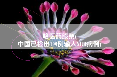 哈医药股票(
中国已检出199例输入XBB病例)