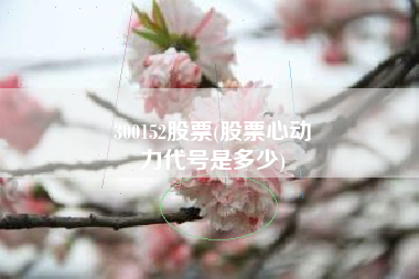 300152股票(股票心动
力代号是多少) 300152股票(股票心动
力代号是多少)