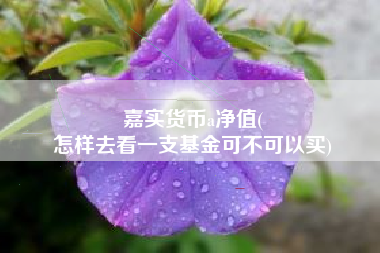 嘉实货币a净值(
怎样去看一支基金可不可以买)