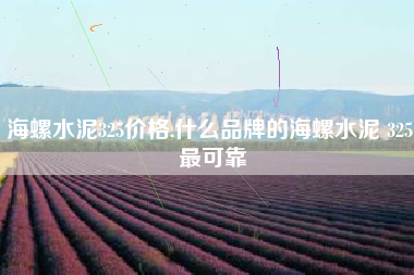 海螺水泥325价格,什么品牌的海螺水泥 325 最可靠