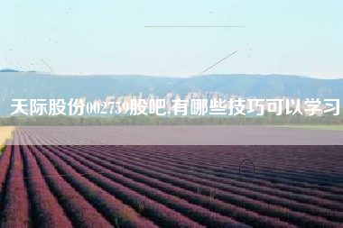 天际股份002759股吧,有哪些技巧可以学习