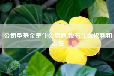 公司型基金是什么意思,我有什么权利和责任