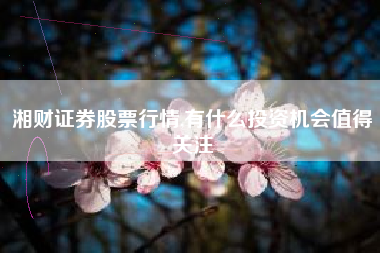 湘财证券股票行情,有什么投资机会值得关注