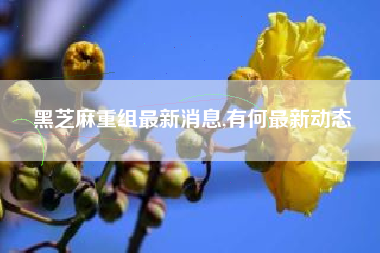 黑芝麻重组最新消息,有何最新动态