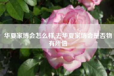 华夏家博会怎么样,去华夏家博会是否物有所值