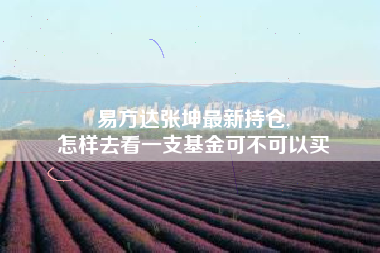 易方达张坤最新持仓,
怎样去看一支基金可不可以买