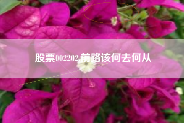 股票002202,前路该何去何从