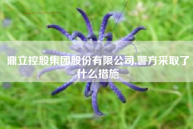 鼎立控股集团股份有限公司,警方采取了什么措施