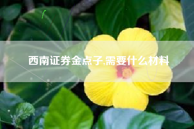 西南证券金点子,需要什么材料