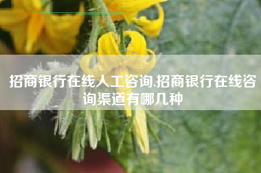 招商银行在线人工咨询,招商银行在线咨询渠道有哪几种