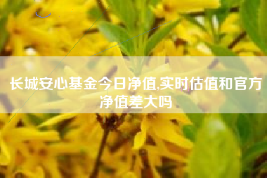 长城安心基金今日净值,实时估值和官方净值差大吗