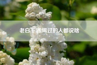 老白干酒,喝过的人都说啥