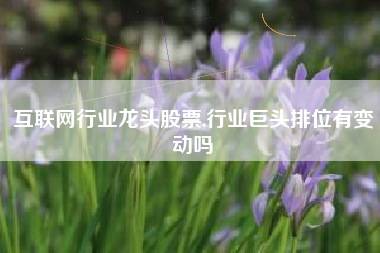 互联网行业龙头股票,行业巨头排位有变动吗