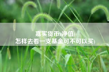 嘉实货币a净值(
怎样去看一支基金可不可以买)