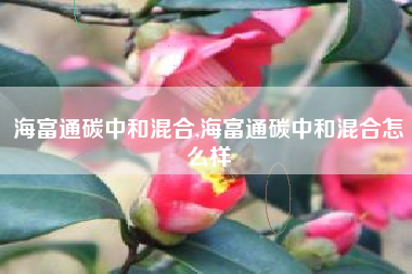 海富通碳中和混合,海富通碳中和混合怎么样