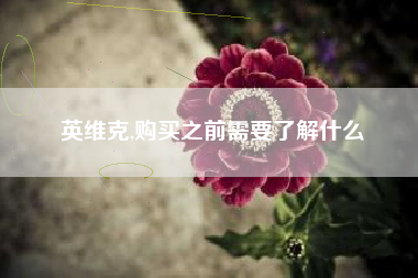 英维克,购买之前需要了解什么