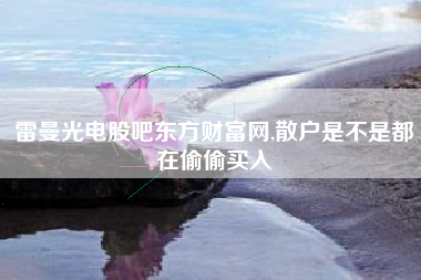 雷曼光电股吧东方财富网,散户是不是都在偷偷买入