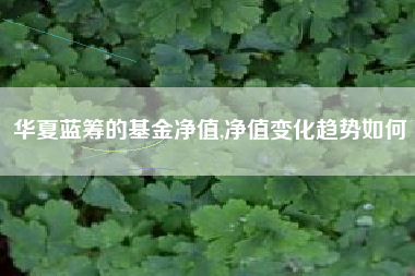 华夏蓝筹的基金净值,净值变化趋势如何