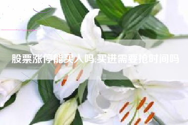 股票涨停能买入吗,买进需要抢时间吗