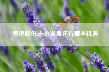 贵糖股份,未来发展还有哪些机遇