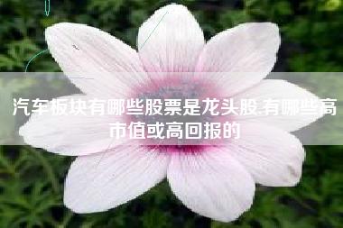 汽车板块有哪些股票是龙头股,有哪些高市值或高回报的