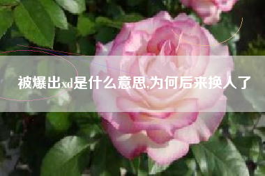 被爆出xd是什么意思,为何后来换人了