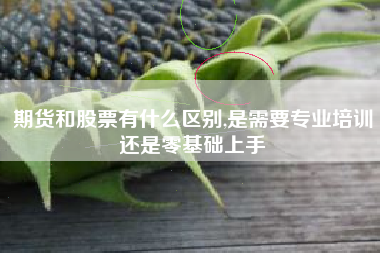 期货和股票有什么区别,是需要专业培训还是零基础上手