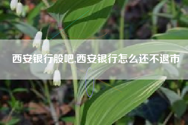 西安银行股吧,西安银行怎么还不退市