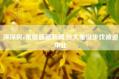 深深房a重组最新新闻,恒大重组步伐被迫中止