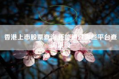 香港上市股票查询,还能通过哪些平台查询港股