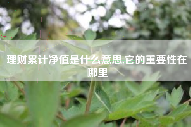 理财累计净值是什么意思,它的重要性在哪里