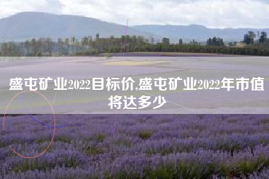盛屯矿业2022目标价,盛屯矿业2022年市值将达多少