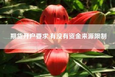 期货开户要求,有没有资金来源限制