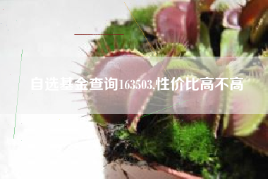 自选基金查询163503,性价比高不高