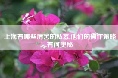 上海有哪些厉害的私募,他们的操作策略有何奥秘