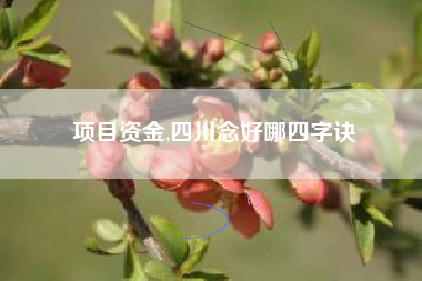项目资金,四川念好哪四字诀