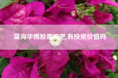 蓝海华腾股票股吧,有投资价值吗