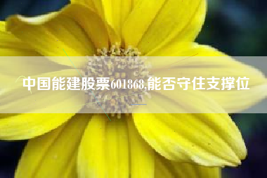中国能建股票601868,能否守住支撑位