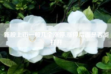 新股上市一般几个涨停,涨停后面是否能打开